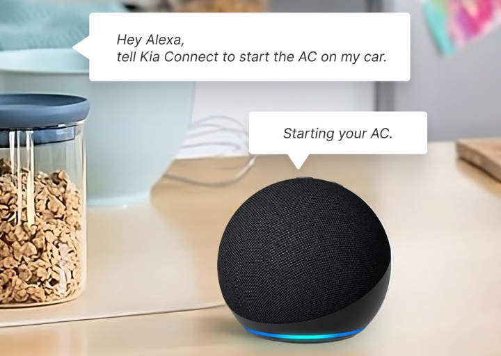 Voice Assistant