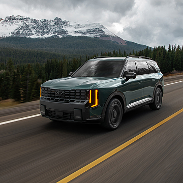 Unique front fascia & black grille shown on the X-Line SX Prestige in Black Jade Green.