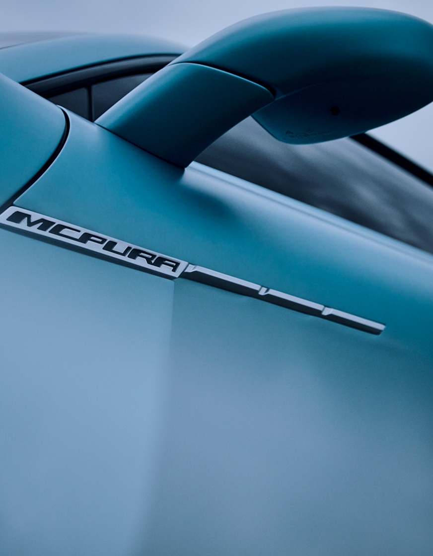 Close-up of side door and mirror