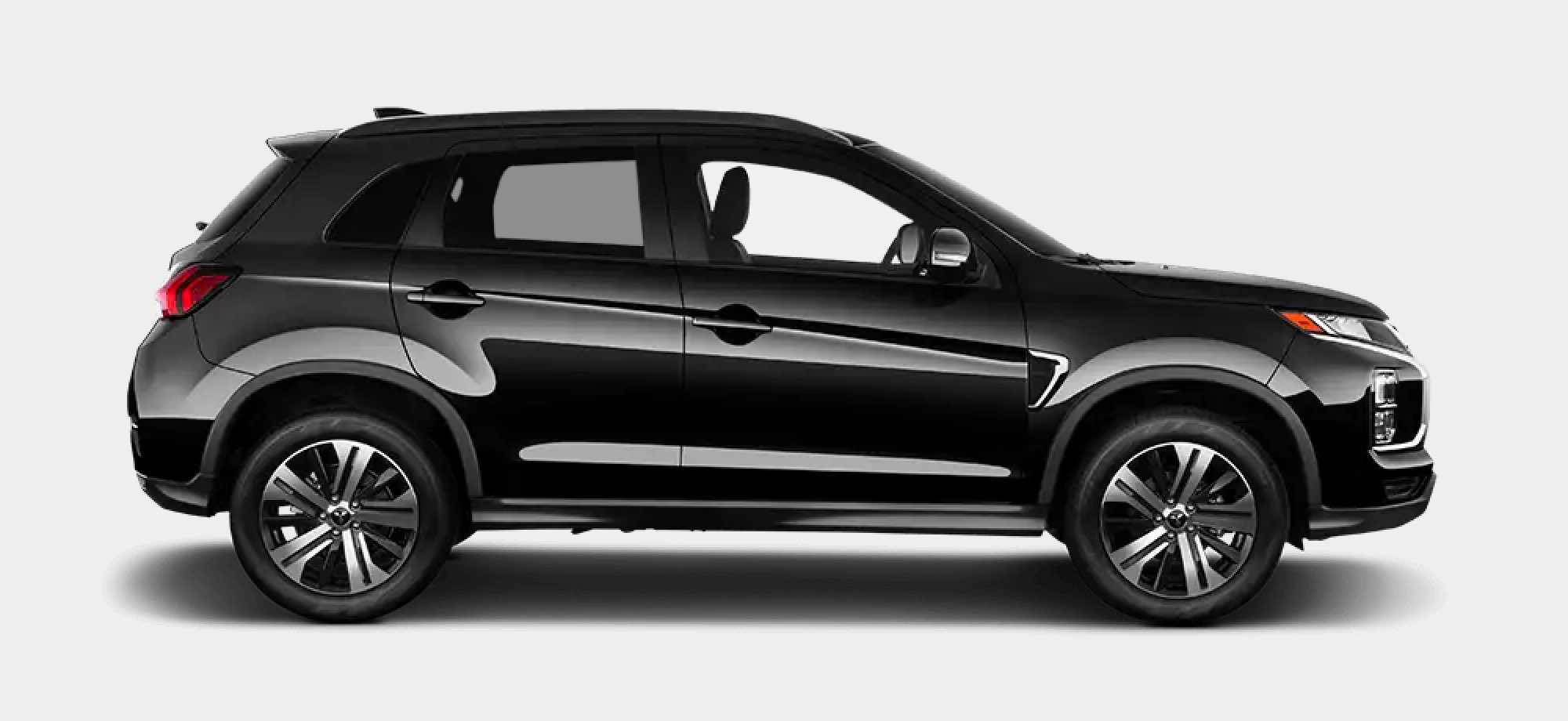 Labrador Black Pearl